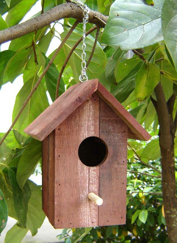 simples de aves que se alimentan de casas de madera de diseño