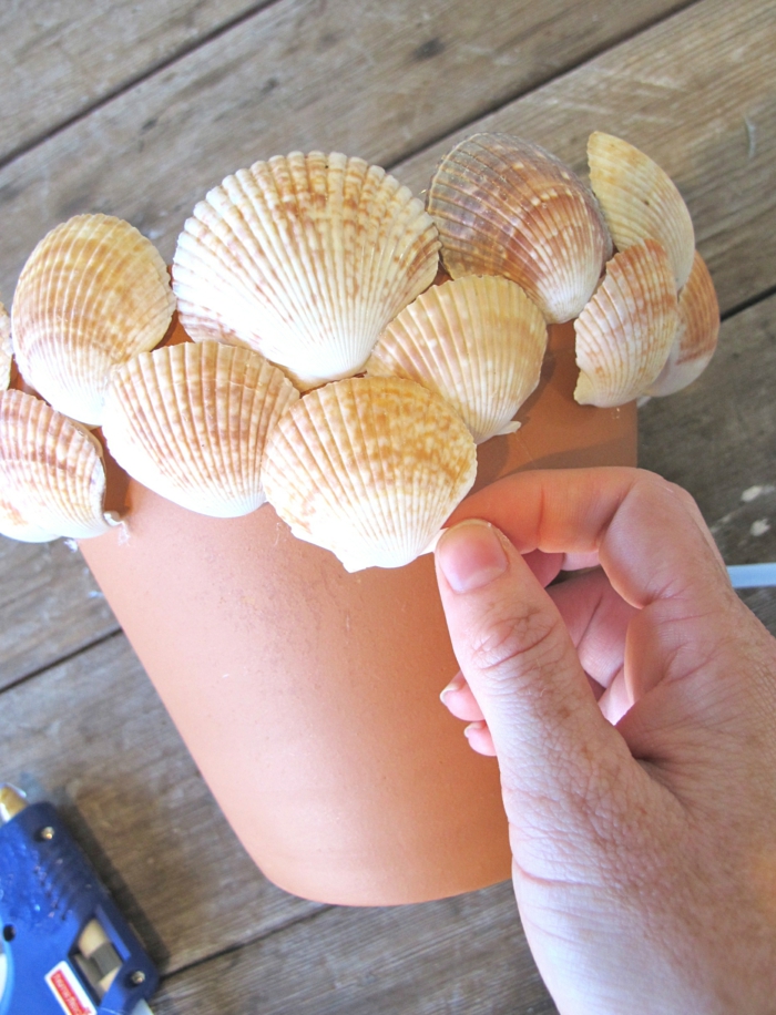 步数三根蛤蜊根据大小排列并粘在锅内白色的贝壳上