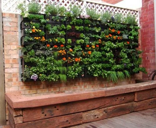 छोटे बाग - दीवार पर कई पौधे