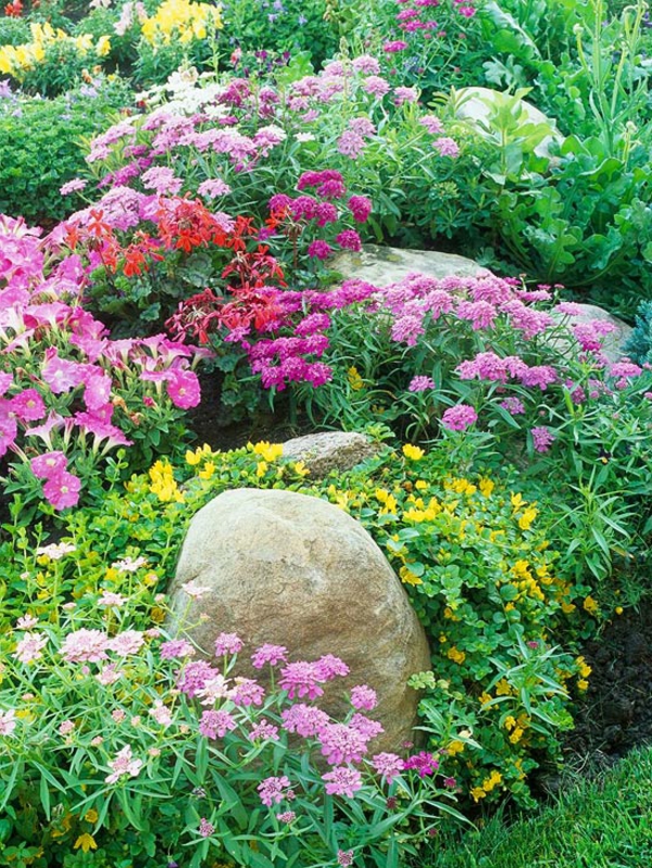 खूबसूरत रॉक गार्डन में रंगीन फूल