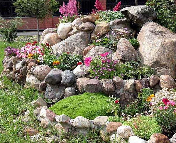 रंगीन फूल और कई पत्थरों के साथ बगीचे डिजाइन
