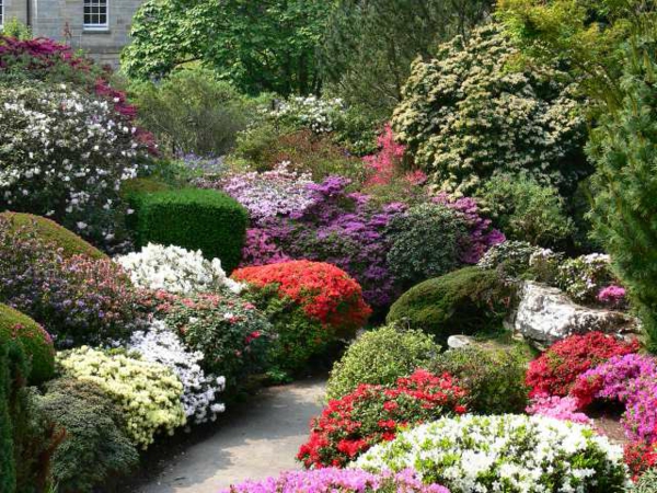 बगीचे में स्टोन वॉकवे और कई रंगीन फूल