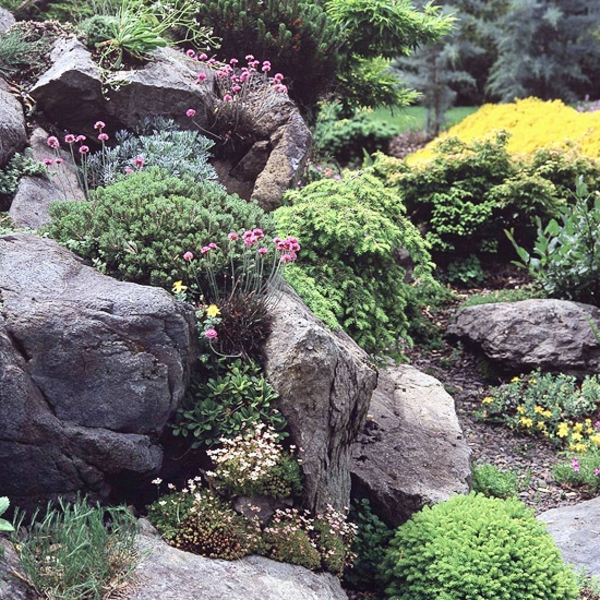 पत्थर और हरे पौधों के साथ बागवानी