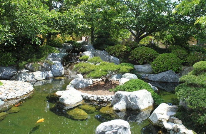estanque-planta-hermosa-jardín-estanque