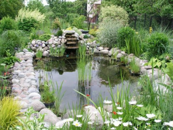 池塘植物包围着，stones-