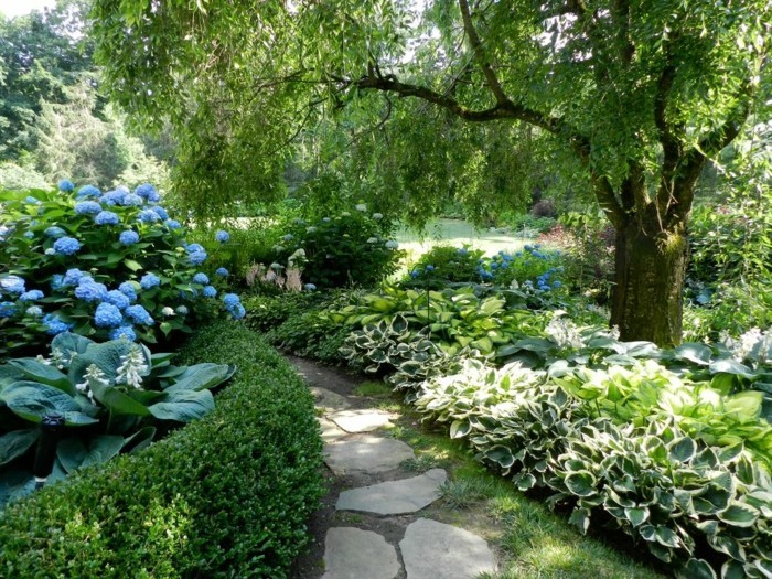 بركة النبات-بعد-على-رائعة لفكرة مقابل حديقة التصميم مع بركة
