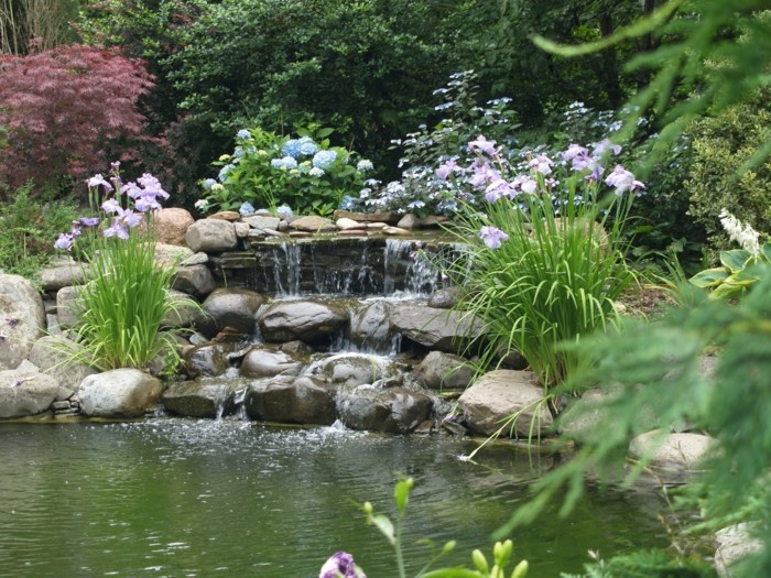 estanque-planta-gran-jardín de diseño con estanque