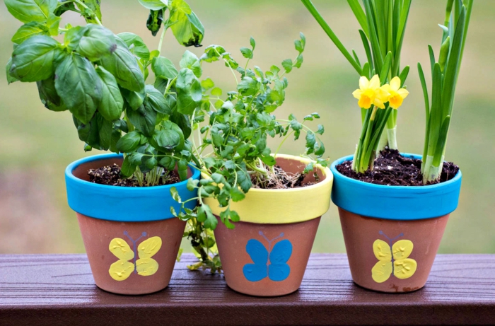 mini macetas de flores macetas simples hermosa decorar juego junto con las ideas de los niños azul amarillo