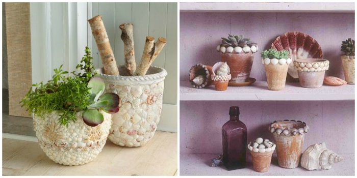 Las mini macetas de flores visten macetas con conchas y disfrutan de un excelente diseño mediterráneo en casa