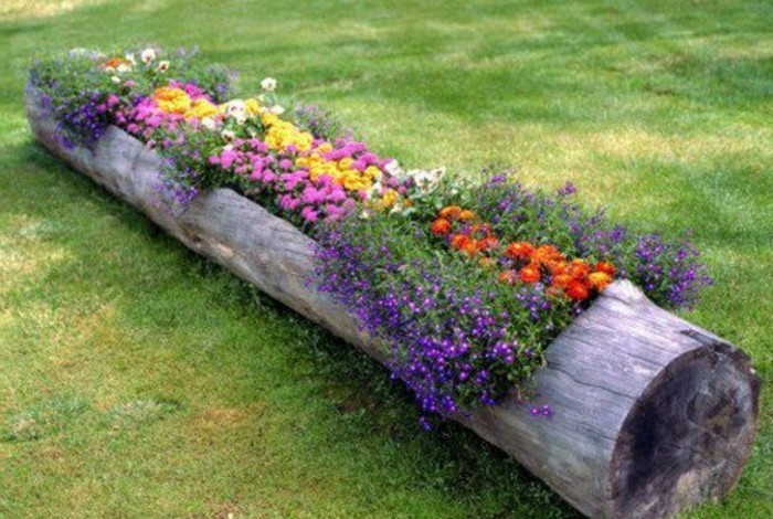 colorido-planta-jardín-Ideas para pequeñas y grandes jardines-Ambiente-muchos