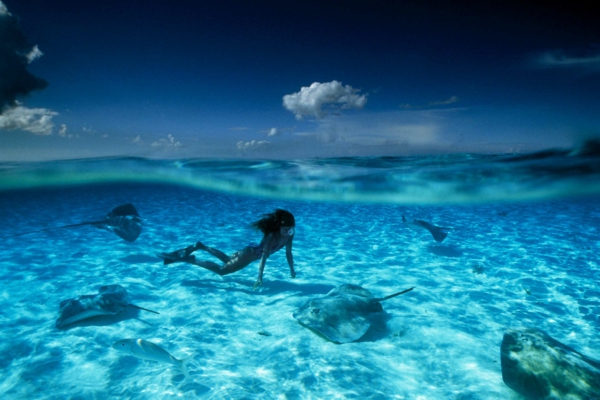 फ्रेंच पॉलीनेशिया चित्र - एक महिला मछली के साथ तैर रही है