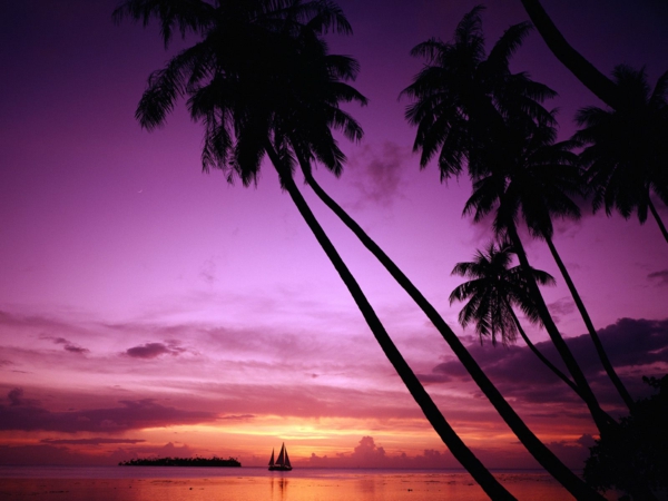 palmu loma-in-Ranskan Polynesia