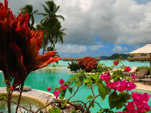 loma-Ranskan Polynesiassa Kauniita kukkia