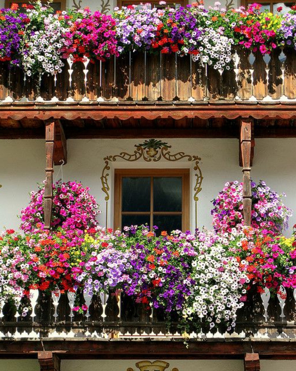 muchas cajas-para-el-balcón de flores