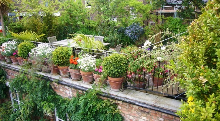 ideas, para pequeñas y jardines-efectivas muchos-hermosa-verde-planta-jardín-diseño completo