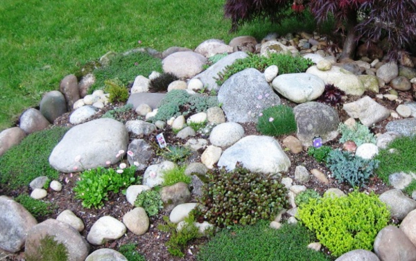 muchas piedras-en-jardín