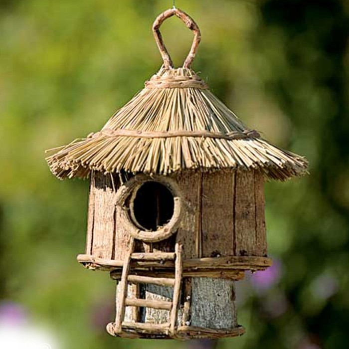 semillas de alpiste casa propia acumulación de madera-a-casa del pájaro-propio-build