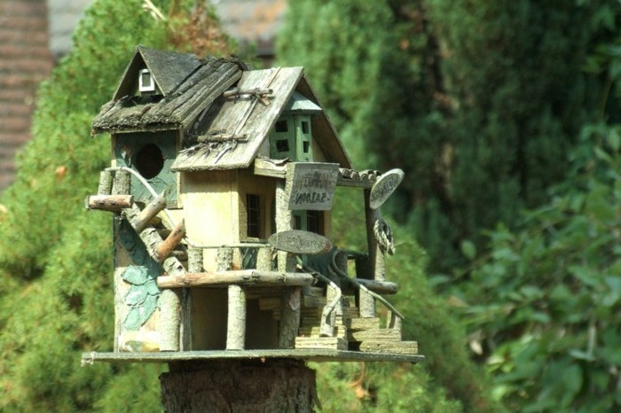 semillas de alpiste casa-propio-build-Build-a-casa del pájaro-propio-acumulación de aspecto agradable