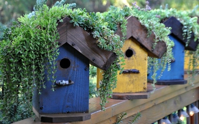 birdseed घर-खुद-निर्माण एक सहायता-पक्षी के साथ घर-कर सकते हैं-आप-पूरे बगीचे सुशोभित