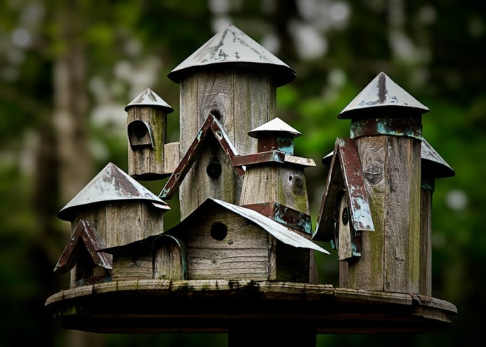 birdseed घर-खुद-निर्माण सपना-पक्षियों के दाने घर निर्माण