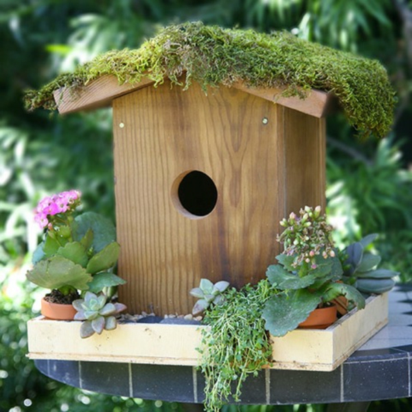 lintu-talo-itse rakentaa-mielenkiintoinen-design-sweet look