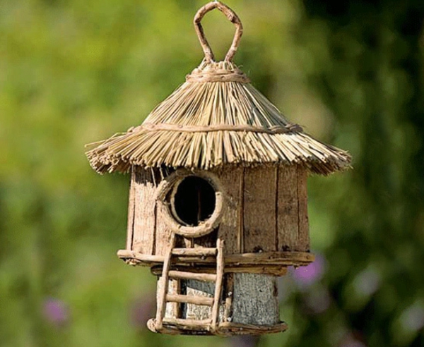 Casa del pájaro-propio-build-creativa-modelo-bosque