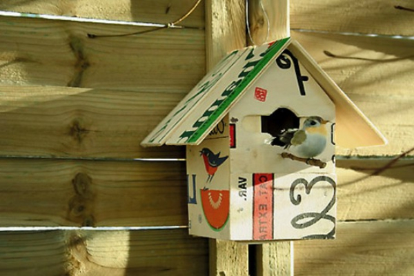 birdhouse-self-build-beautiful-look-colorful colors y un pájaro
