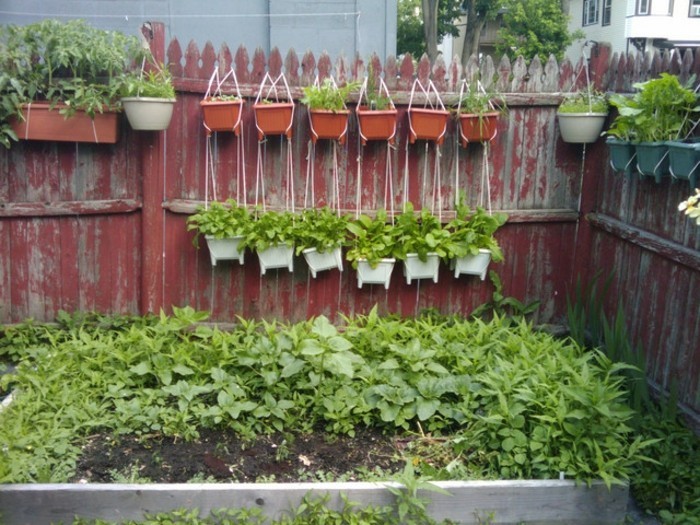 vorgarten-create-ενδιαφέρον-φράχτη-και-πράσινο-φυτό