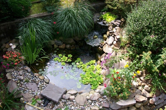 vorgarten-create-छोटे तालाब और सुंदर-हरे-पौधे