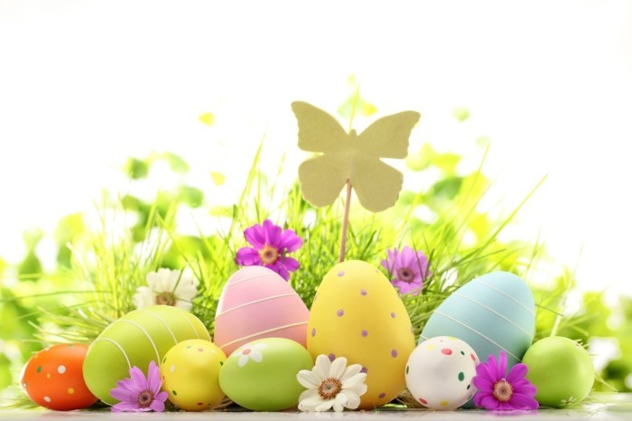 pozadina Uskrs s obojenih jaja i leptir slici