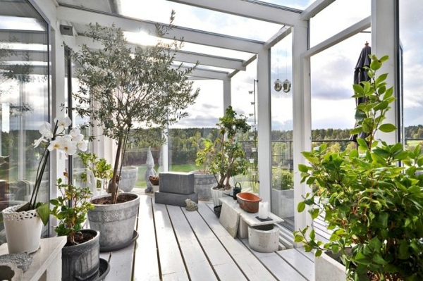 hiver jardin-design-idées-plantes-olive orchidées style scandinave jardin d'hiver-faire