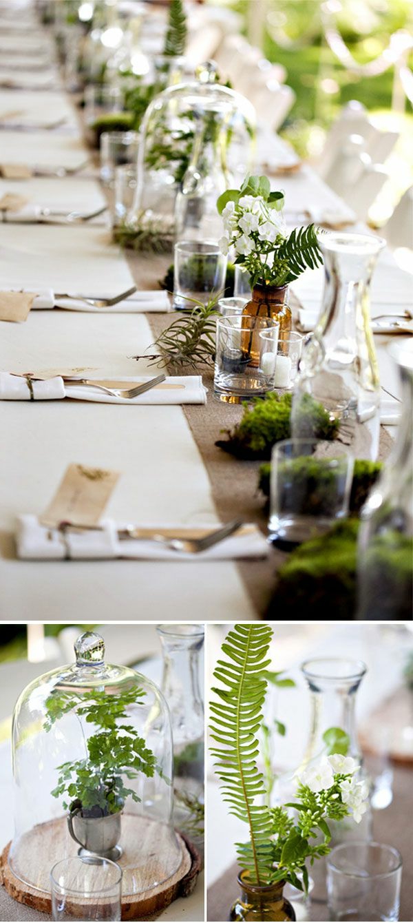 דקו נפלא-רעיונות-עבור-the-שולחן-עם-צמח-ירוק-ב-משקפיים-on-the-שולחן-גן רעיונות עיצוב שלישי