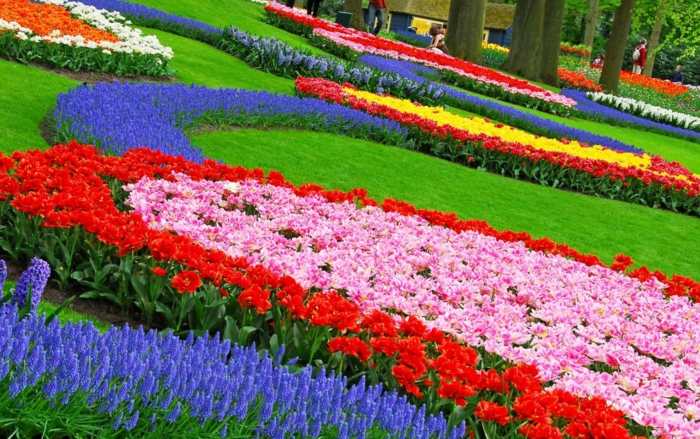 bella-jardín de flores-diseño-color colorido-GARTENGESTALTUNG-tips