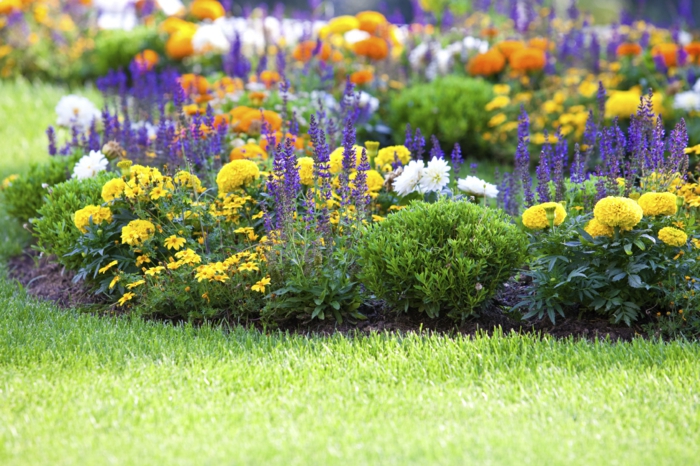 crear un jardín de flores - magnífico diseño