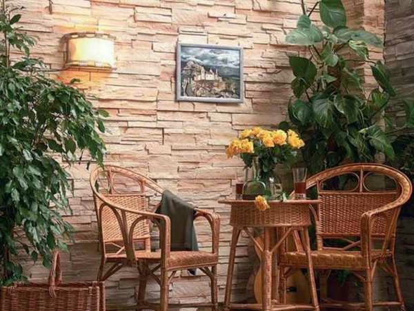 hermosas plantas de jardín, té verde para la pared y una imagen en la pared