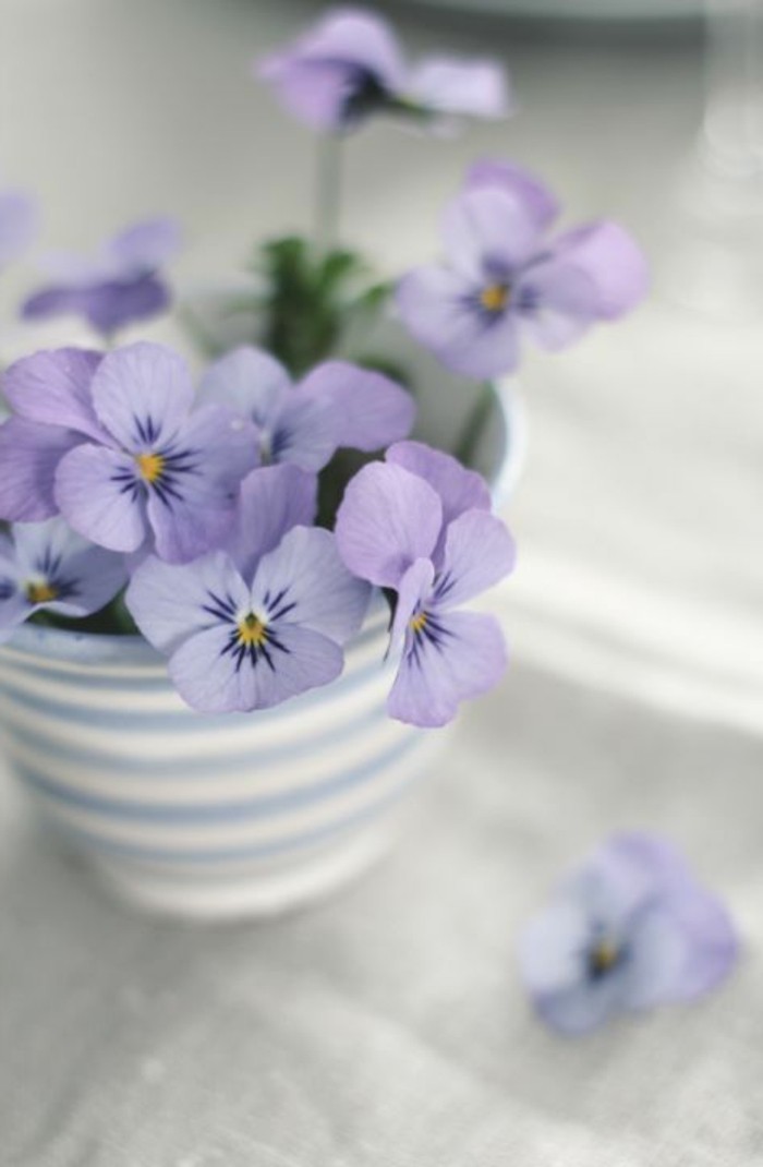 tierna Crisol de flor por-casa-púrpura-violeta