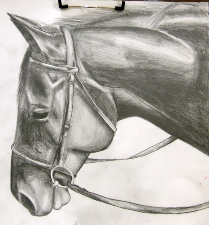 dibujos-con-lápiz-a-preciosa-caballo