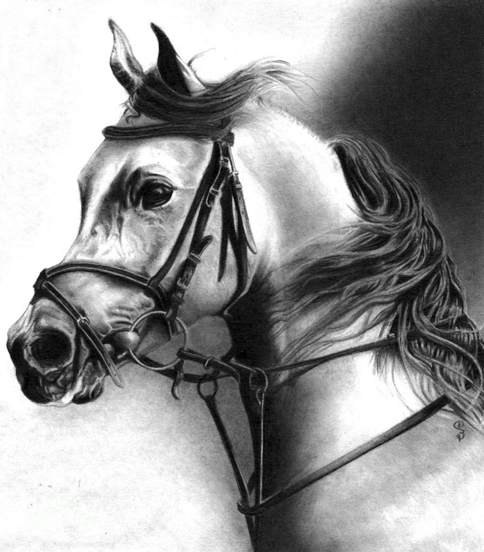 -dibujos con lápiz super realista mirada-a-caballo-